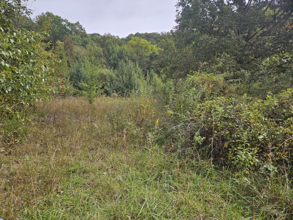 Property photo for land for sale in Bristol County Virginia