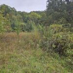 Property photo for land for sale in Bristol County Virginia