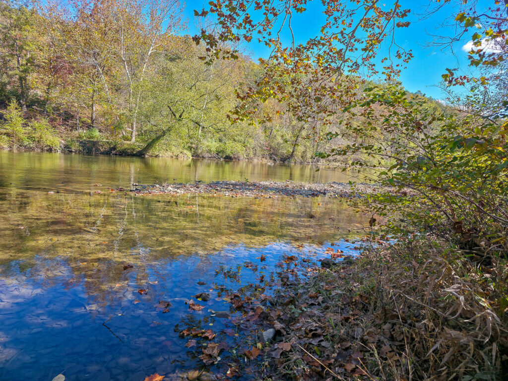 f0c32507-b8d9-4833-bc36-c5353bdaccc2.jpg