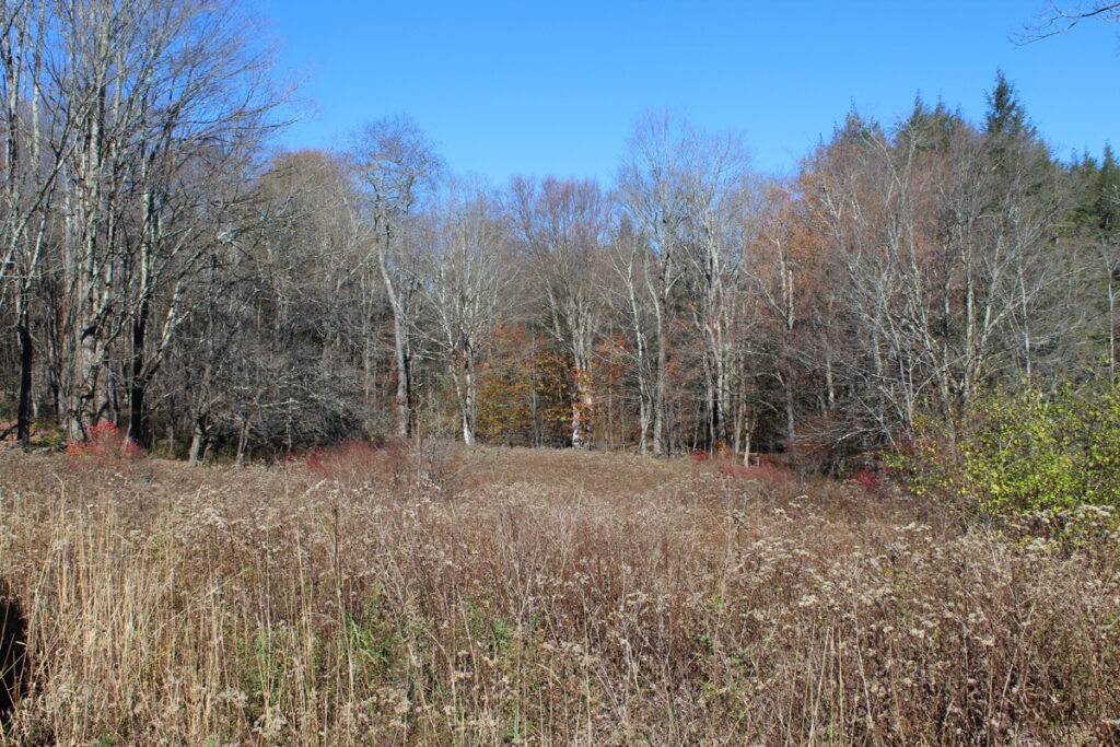 Property photo for land for sale in Sullivan County New York