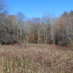 Property photo for land for sale in Sullivan County New York