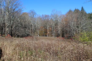 Property photo for land for sale in Sullivan County New York