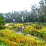 Property photo for land for sale in Furnas County Nebraska