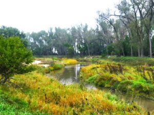 Property photo for land for sale in Furnas County Nebraska