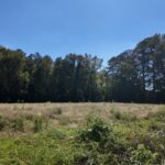 Property photo for land for sale in Duplin County North Carolina