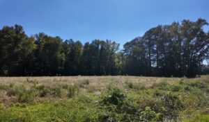 Property photo for land for sale in Duplin County North Carolina