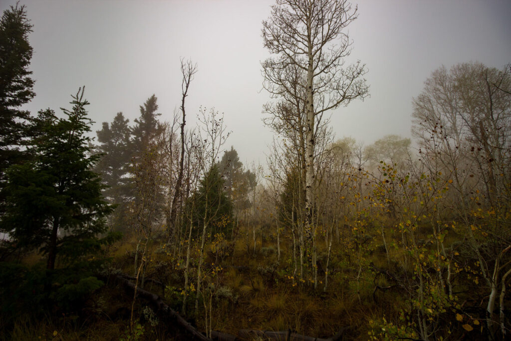 f80a0725-83d5-438d-814f-f134f233229e.jpg