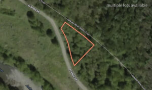 Property photo for land for sale in Alleghany County Virginia