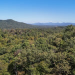 Property photo for land for sale in Henderson County North Carolina