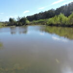 Property photo for land for sale in Scott County Arkansas