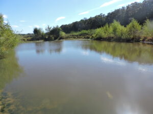 Property photo for land for sale in Scott County Arkansas