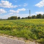 Property photo for land for sale in Guernsey County Ohio