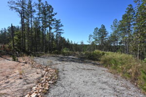 Property photo for land for sale in Perry County Tennessee