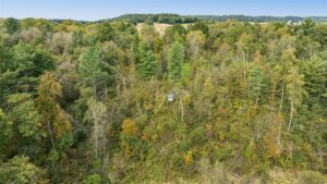 Property photo for land for sale in Jackson County Wisconsin