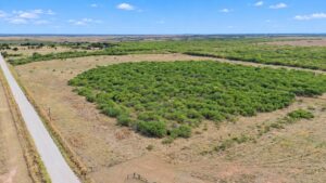 Property photo for land for sale in Archer County Texas