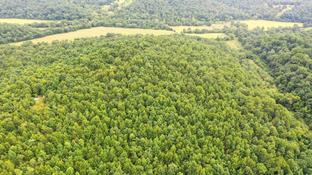 Property photo for land for sale in Dent County Missouri