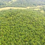 Property photo for land for sale in Dent County Missouri
