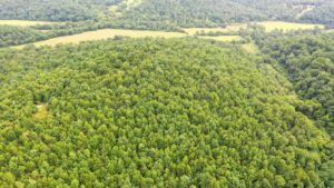 Property photo for land for sale in Dent County Missouri